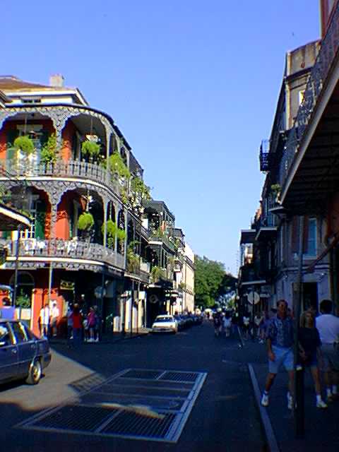 Pretty iron balconies in the French Quarter